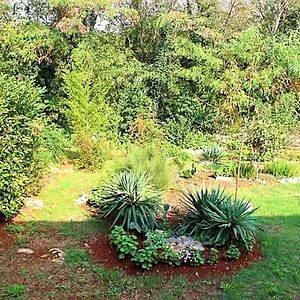 Jelena Apartament